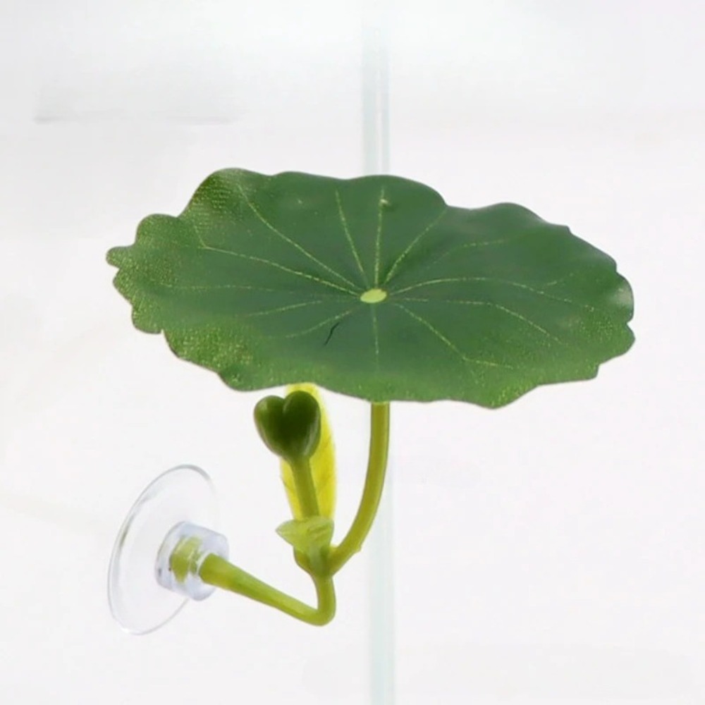 Aquarium Plant Roots - Lotus leaf Betta Fish Hammock rest