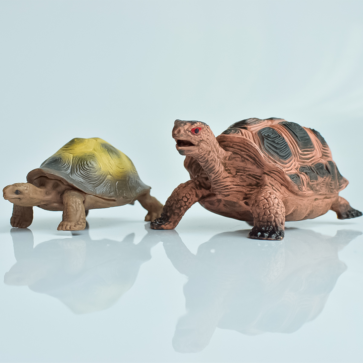 Aquarium Plant Nursery - Painted Realistic Animal Turtle | Aquatic