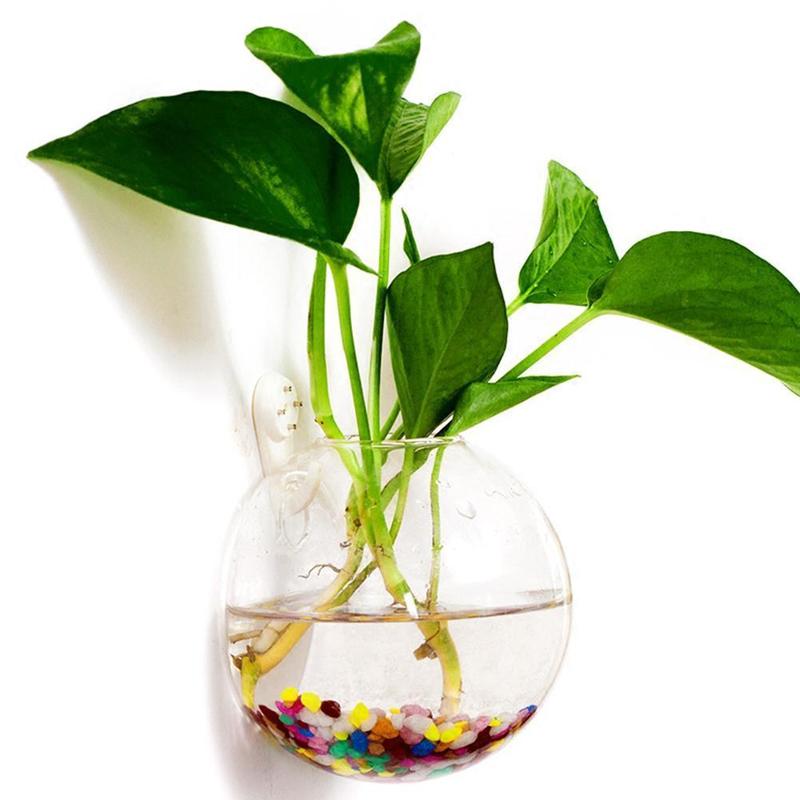Aquarium Plant Vine - Creative Wall Mounted Glass Vase Fish