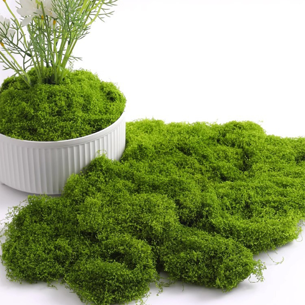 Aquarium Plant Root Tabs - 20/40/100g Eternal Life Moss DIY Crafts
