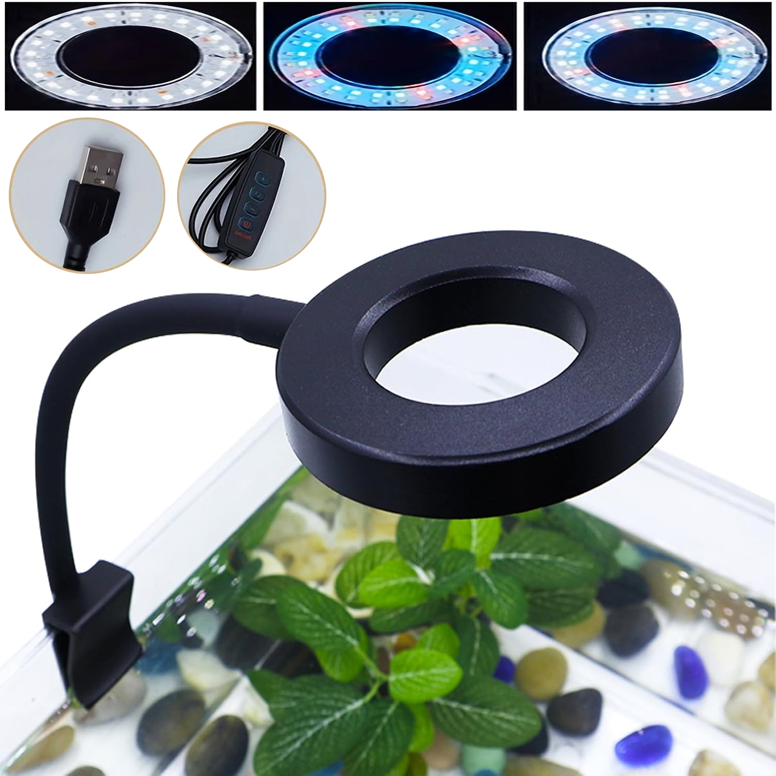 Planted Aquarium Photos - Small Aquarium LED Full Spectrum Lighting