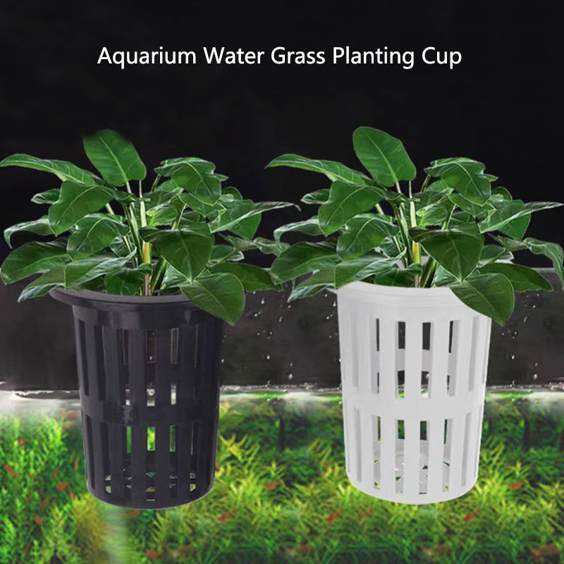 Aquarium Plant Roots - 1/3Pcs Aquarium Plant Basket Wall-Mounted Hydroponic