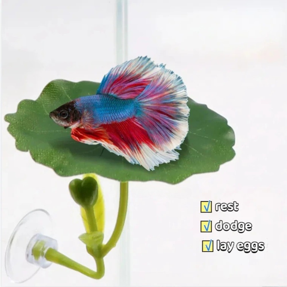Lotus leaf Betta Fish Hammock  - Aquarium Plant Roots avis et prix