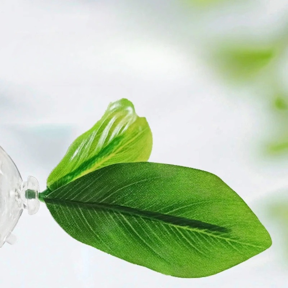 Lotus leaf Betta Fish Hammock  - Aquarium Plant Roots avis et prix