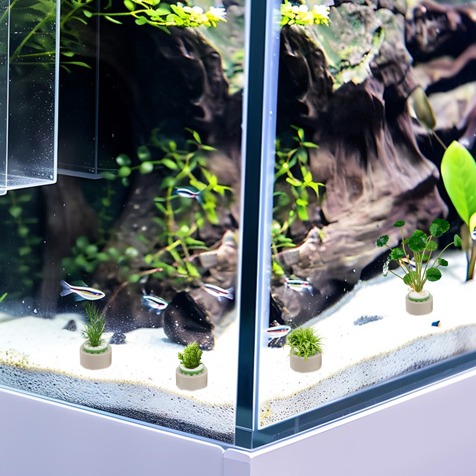 9Pcs Ceramic Aquatic Plant Hol - Aquarium Plant Nutrients avis et prix