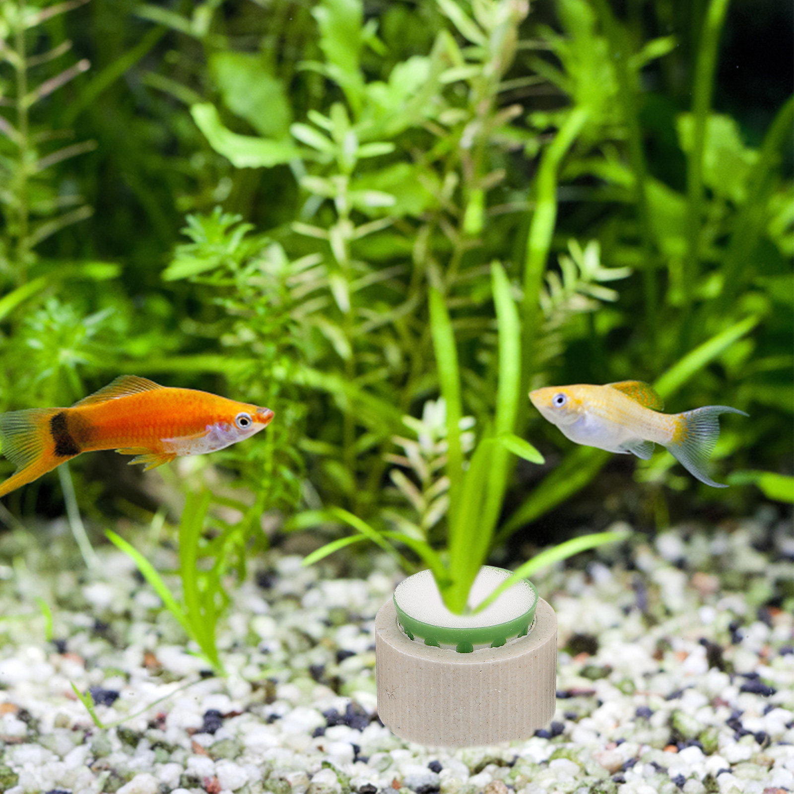9Pcs Ceramic Aquatic Plant Hol - Aquarium Plant Nutrients avis et prix