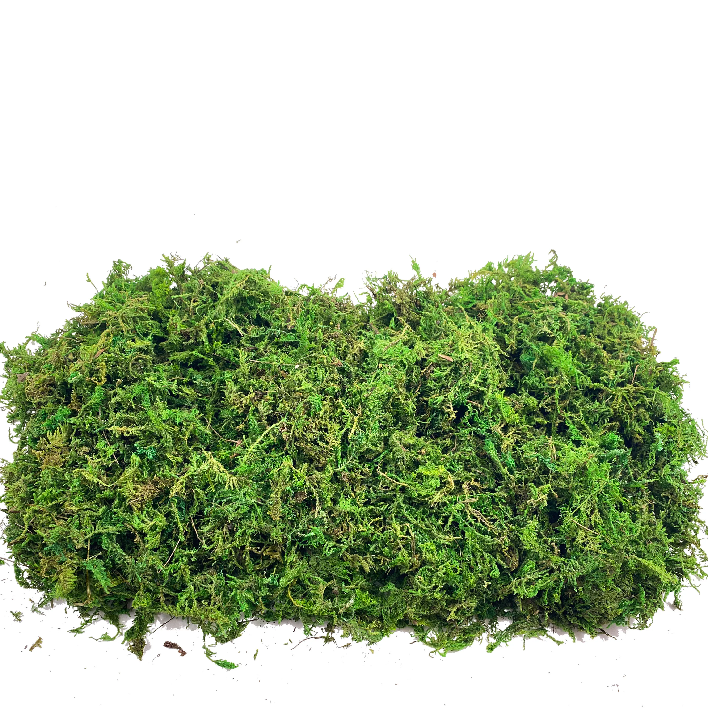 Fake Moss Artificial Moss for  - Aquarium Plant Root Tabs avis et prix