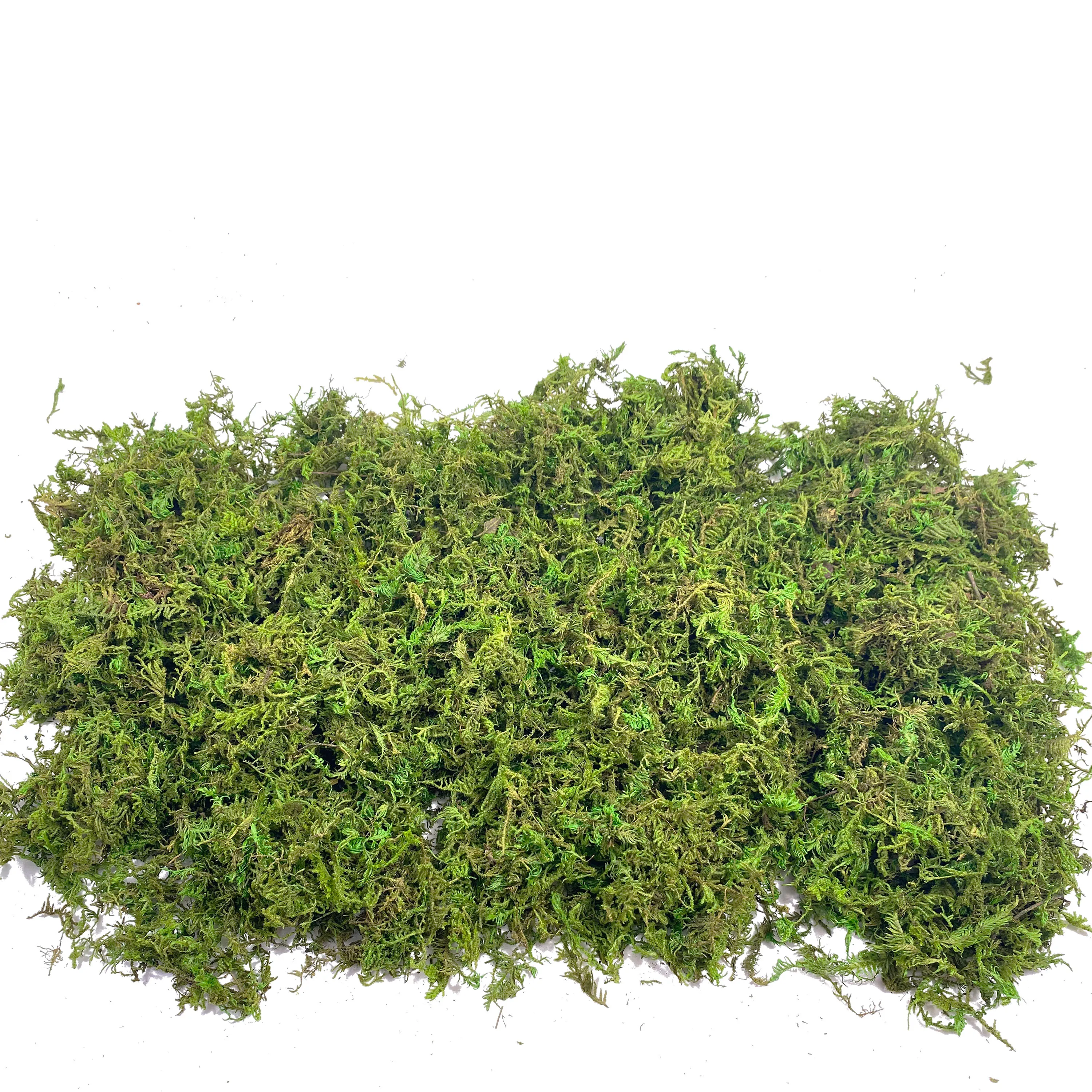 Fake Moss Artificial Moss for  - Aquarium Plant Root Tabs avis et prix