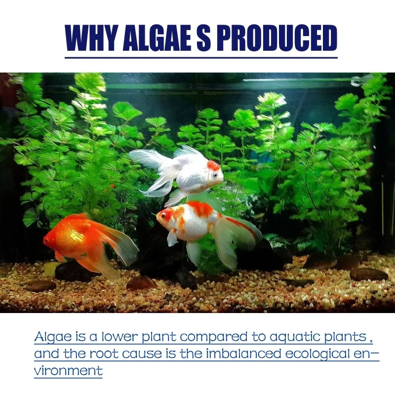 50g High Efficiency Algaecide  - Planted Aquarium Fertilizer avis et prix