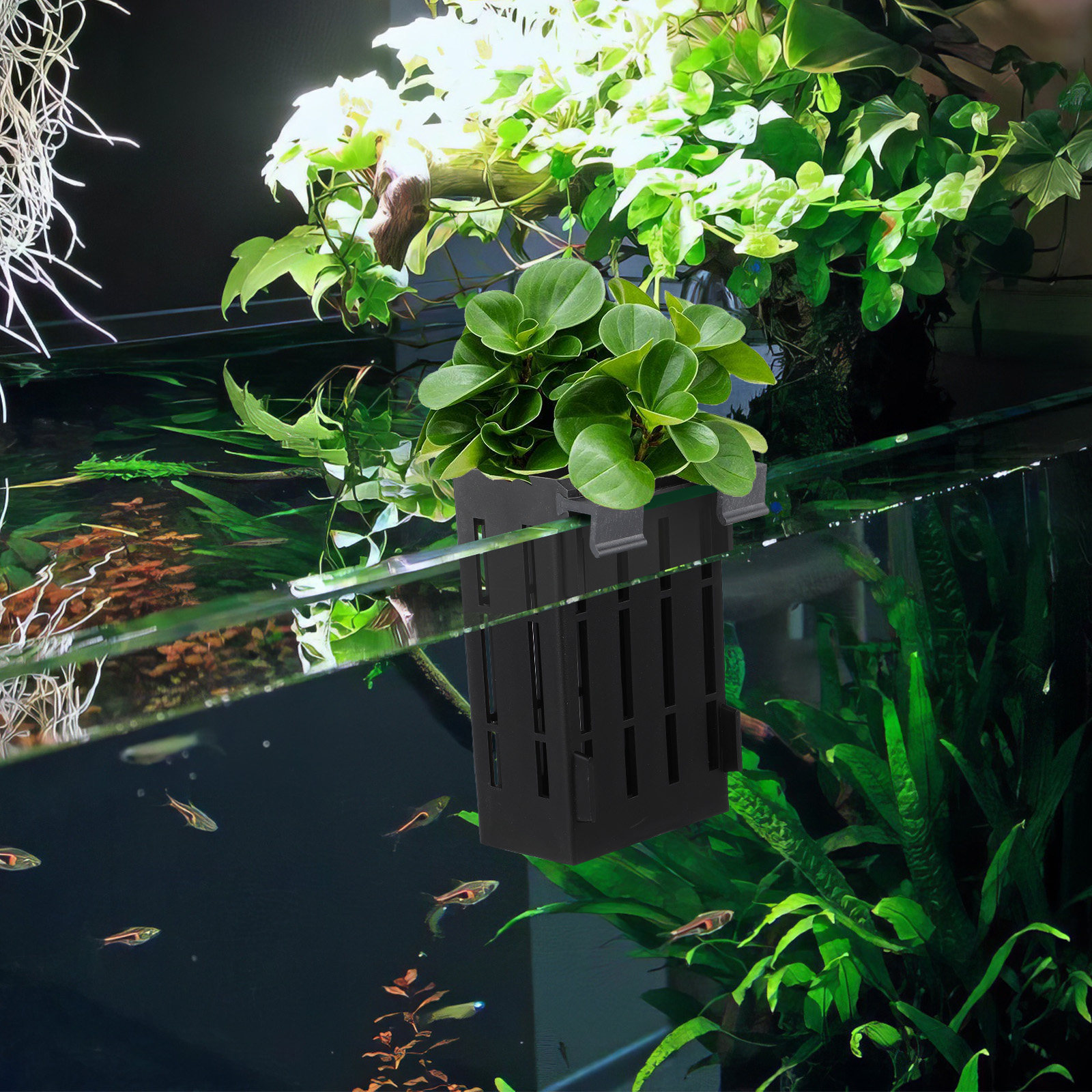 4Pcs Aquarium Plant Holder Han - Aquarium Plant Nutrients avis et prix