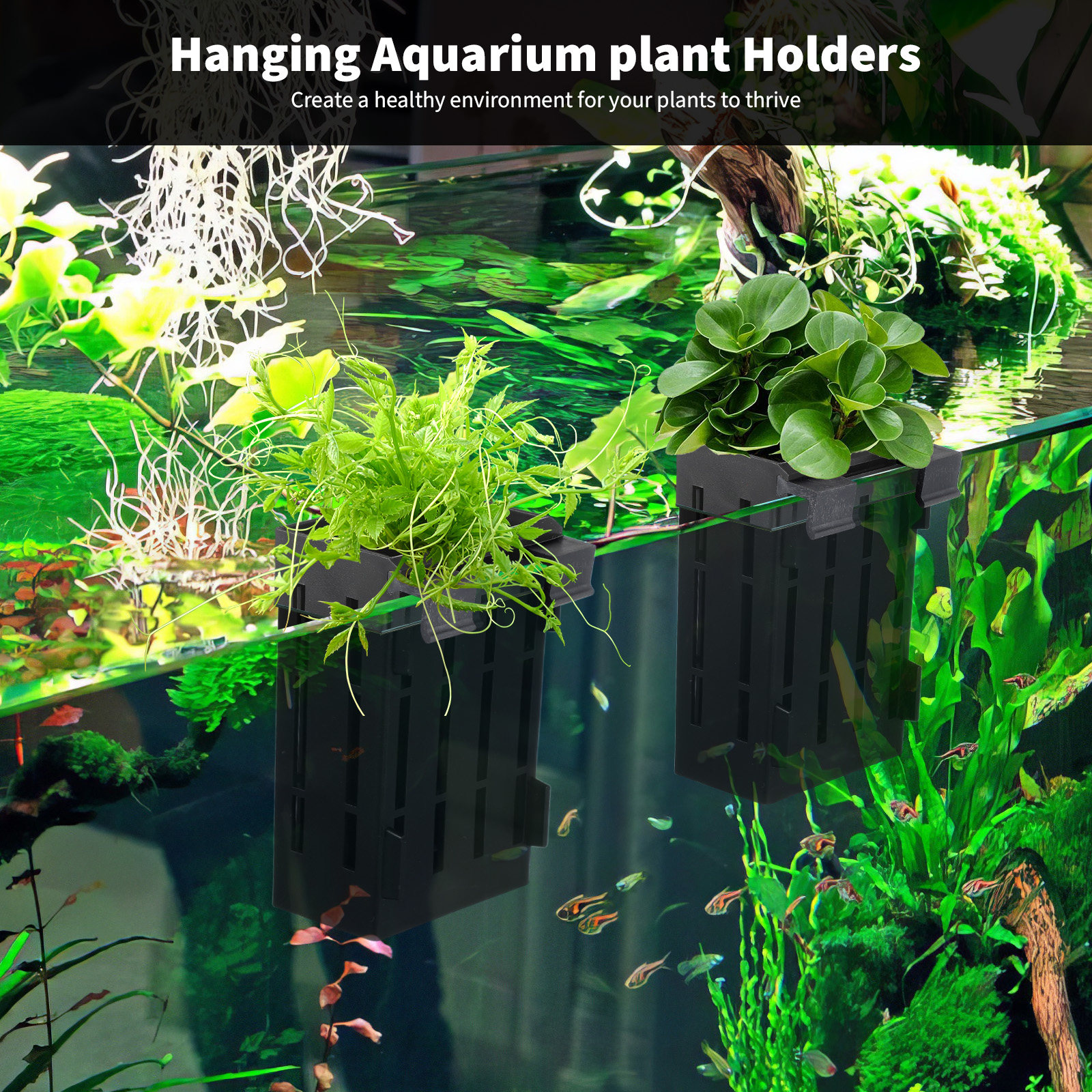4Pcs Aquarium Plant Holder Han - Aquarium Plant Nutrients avis et prix