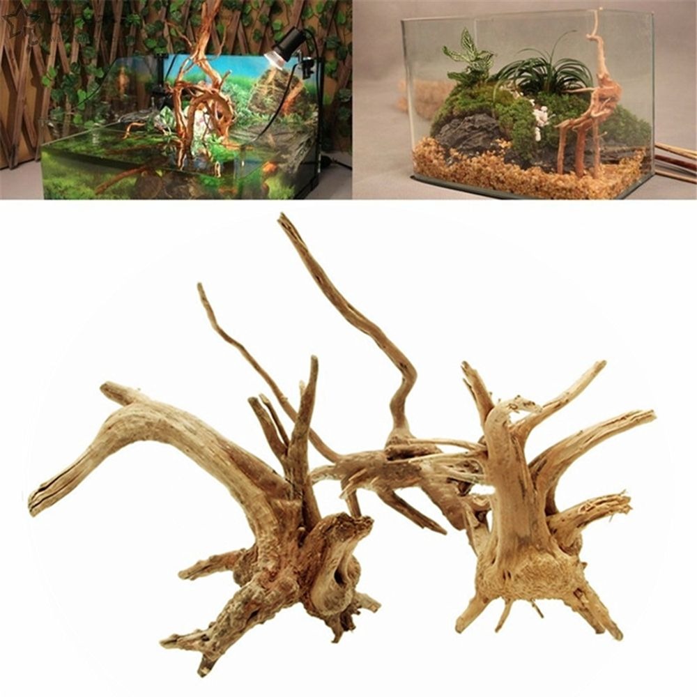 New Natural Wooden Fish Tank D - Aquarium Plant Root Tabs avis et prix