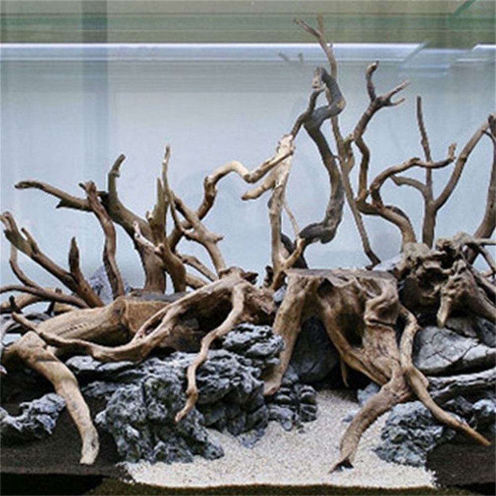 New Natural Wooden Fish Tank D - Aquarium Plant Root Tabs avis et prix
