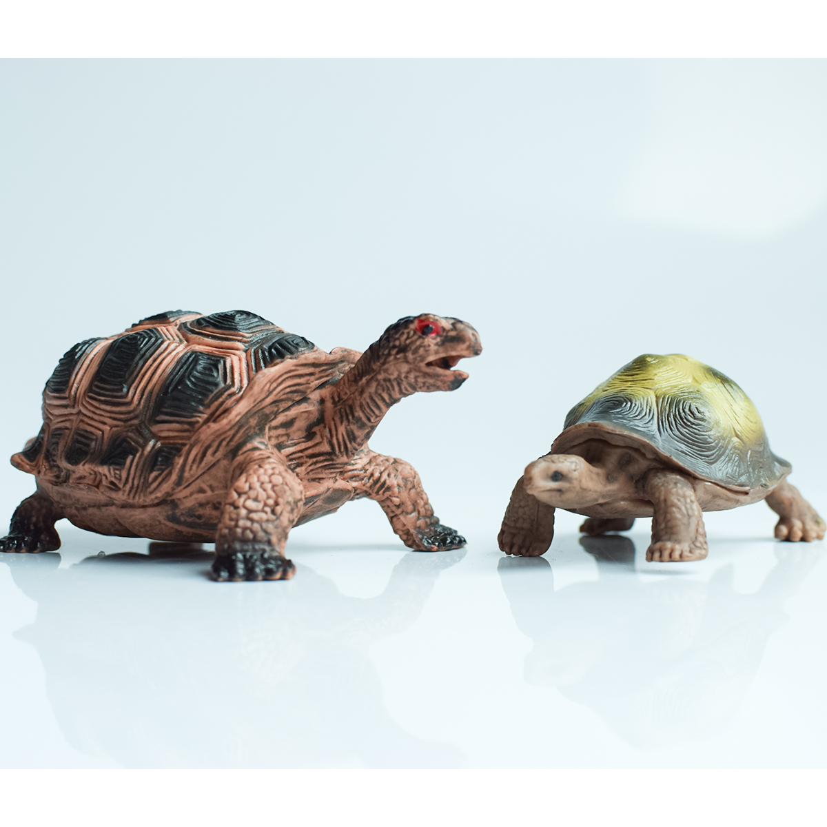 Painted Realistic Animal Turtl - Aquarium Plant Nursery avis et prix