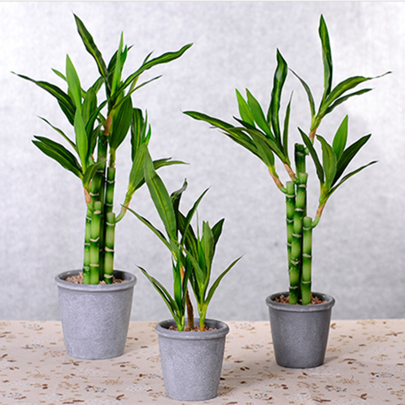 New 40cm rFtificial Lucky Bamb - Aquarium Plant Nursery avis et prix