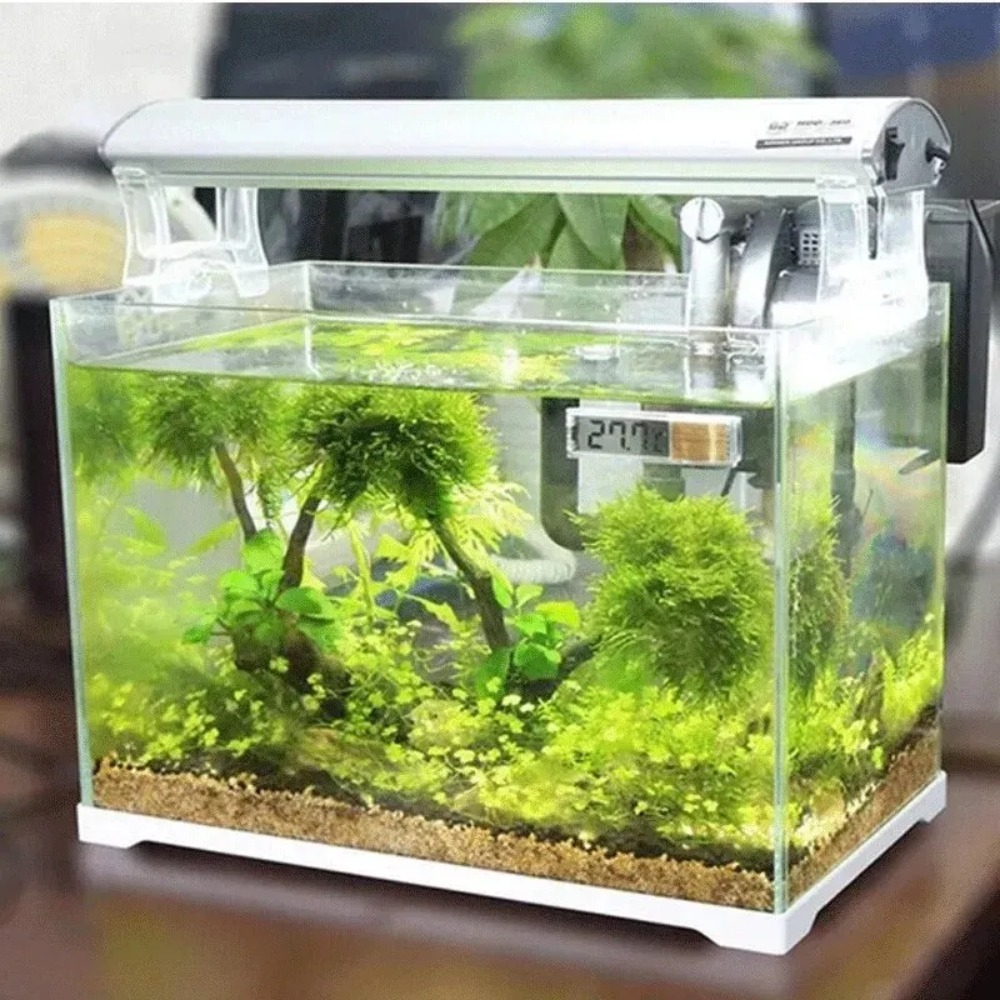 1PC Aquarium Thermometer Elect - Planted Aquarium Temperature avis et prix