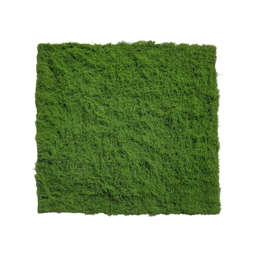 DIY Artificial Grass Rug Durab - Aquarium Plant Root Tabs avis et prix