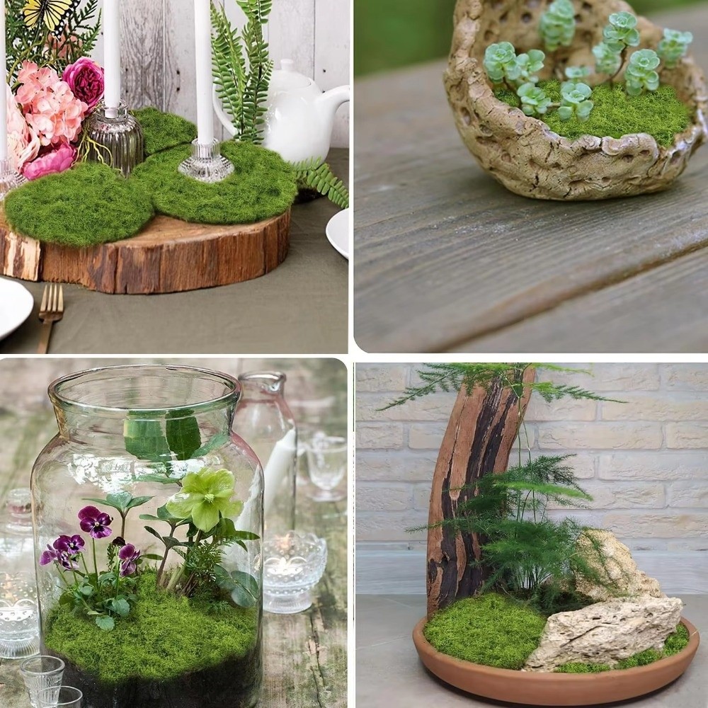 DIY Artificial Grass Rug Durab - Aquarium Plant Root Tabs avis et prix