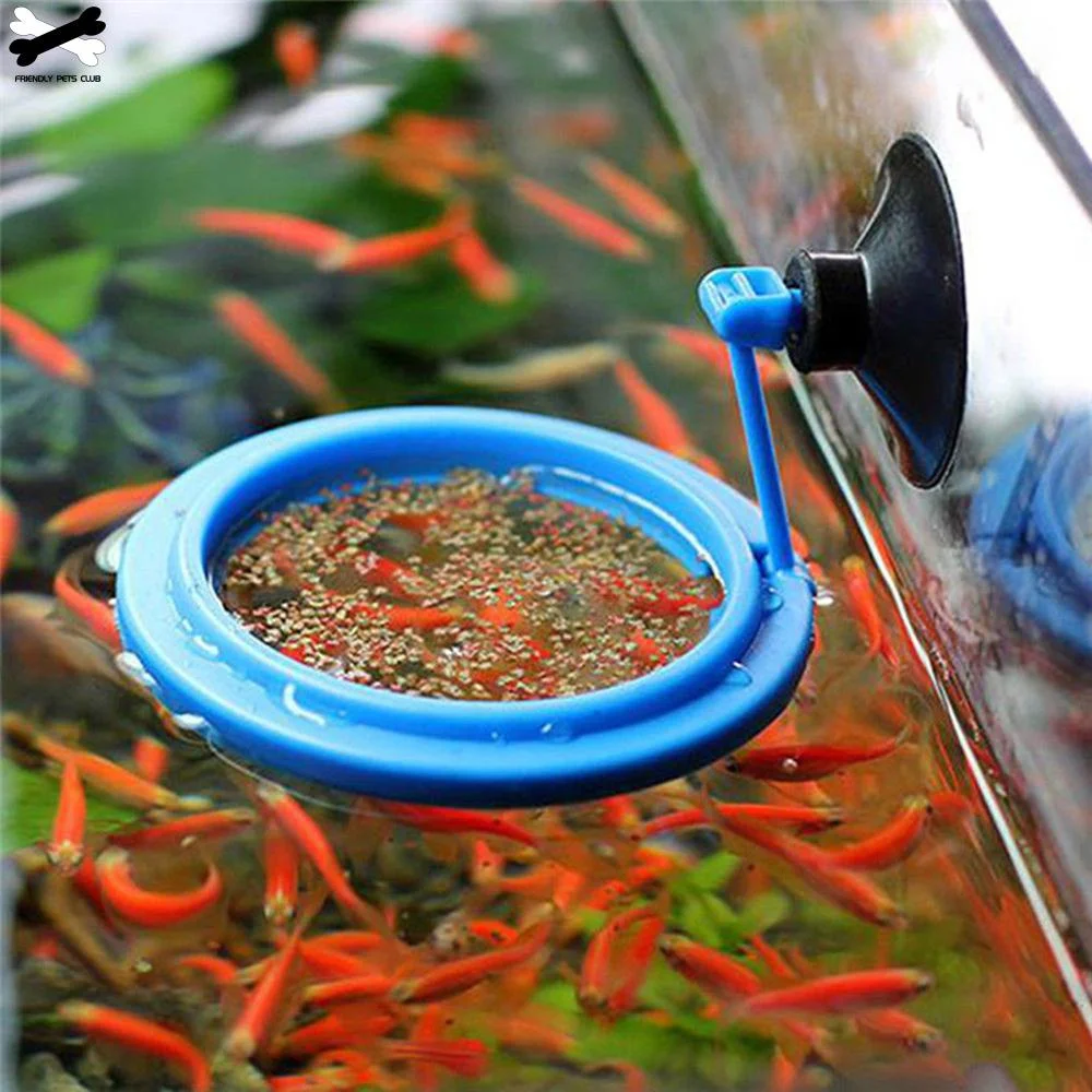 Aquarium Feeding Ring Fish Tan - Aquarium Plant Nutrients avis et prix