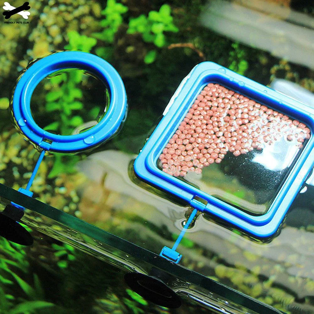 Aquarium Feeding Ring Fish Tan - Aquarium Plant Nutrients avis et prix