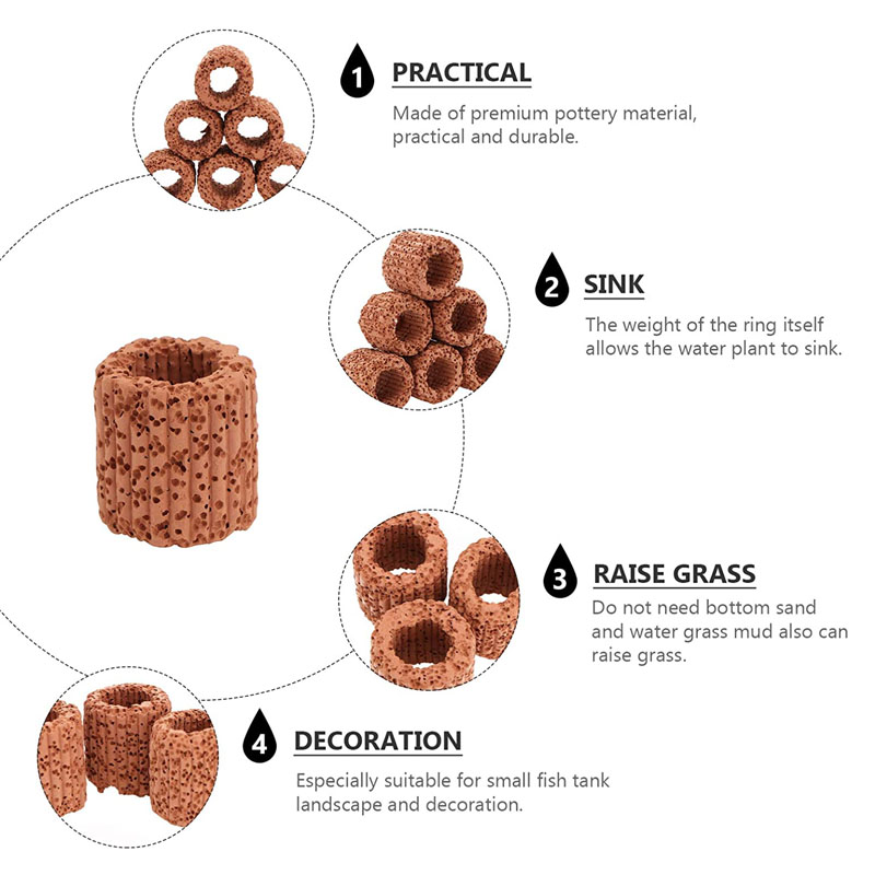 Aquatic Plant Fixed Ring for A - Aquarium Plant Roots avis et prix