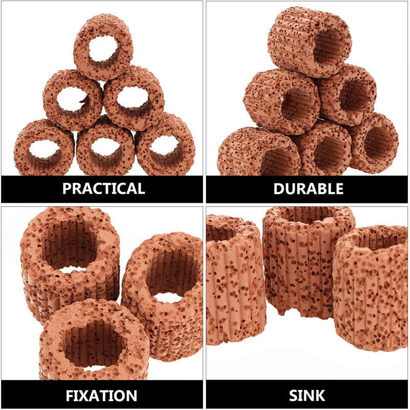 Aquatic Plant Fixed Ring for A - Aquarium Plant Roots avis et prix
