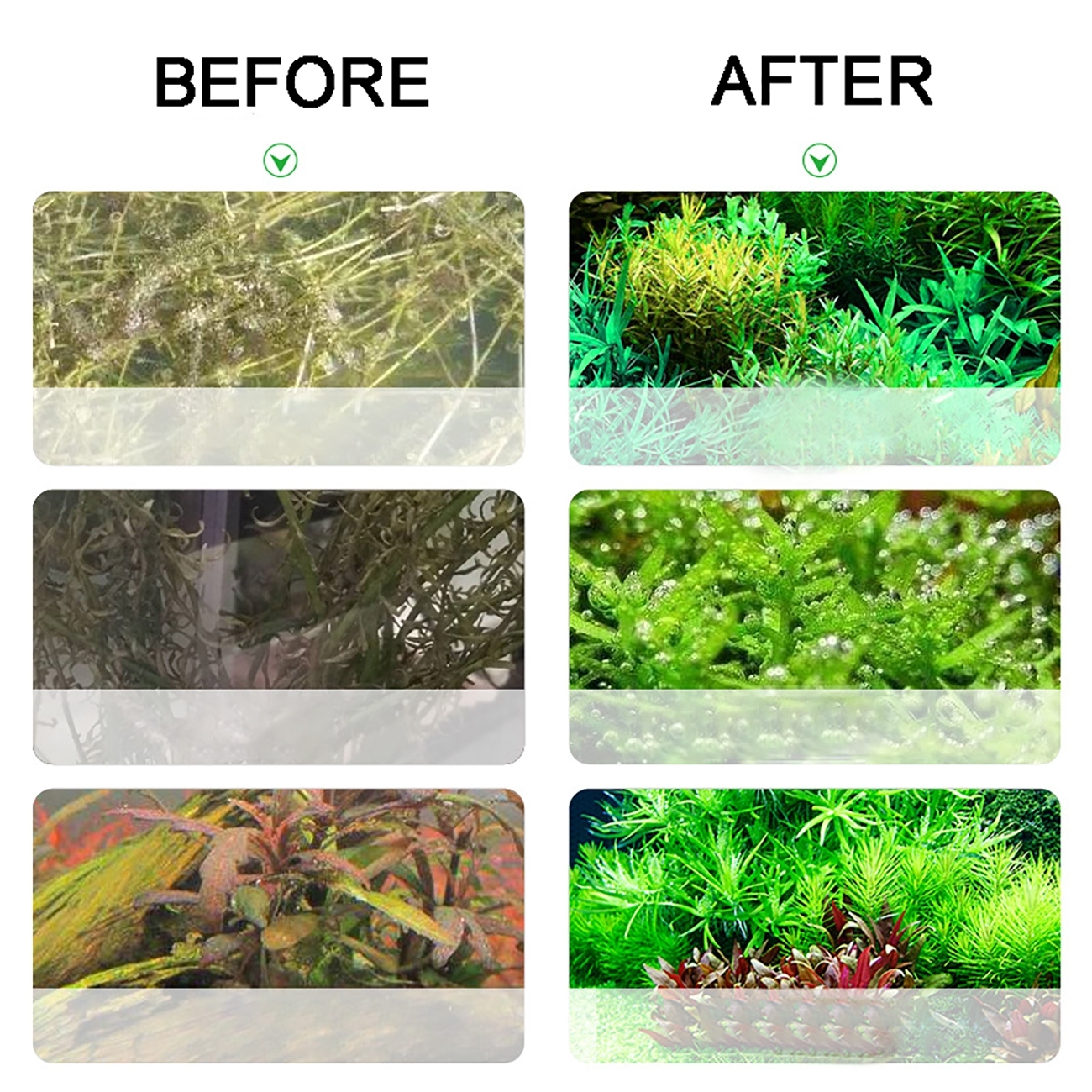 Aquarium CO2 Generator system  - Aquarium Plant No Co2 avis et prix