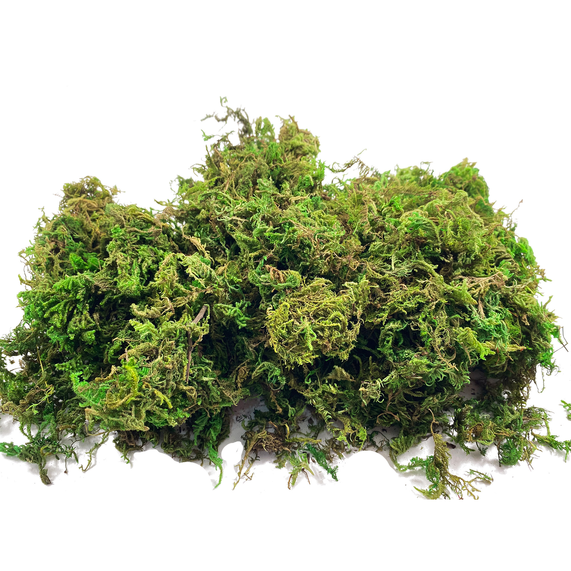 Artificial Fake Moss, Craft Mo - Aquarium Plant Root Tabs avis et prix