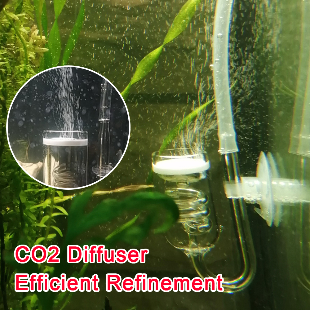 Glass Tank Bubble Reactor Aqua - Aquarium Plant No Co2 avis et prix
