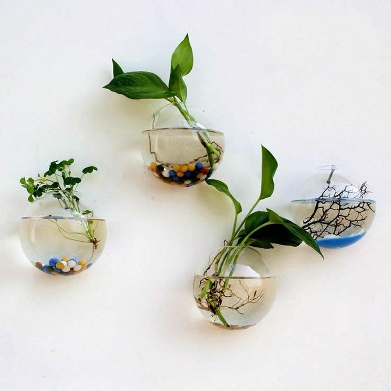 Creative Wall Mounted Glass Va - Aquarium Plant Vine avis et prix