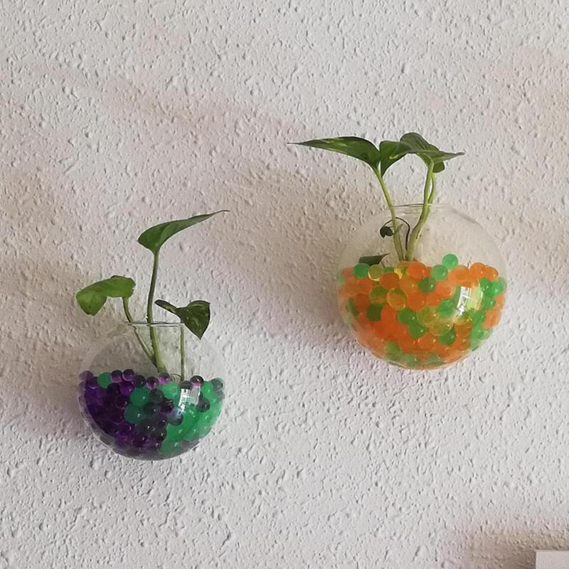 Creative Wall Mounted Glass Va - Aquarium Plant Vine avis et prix