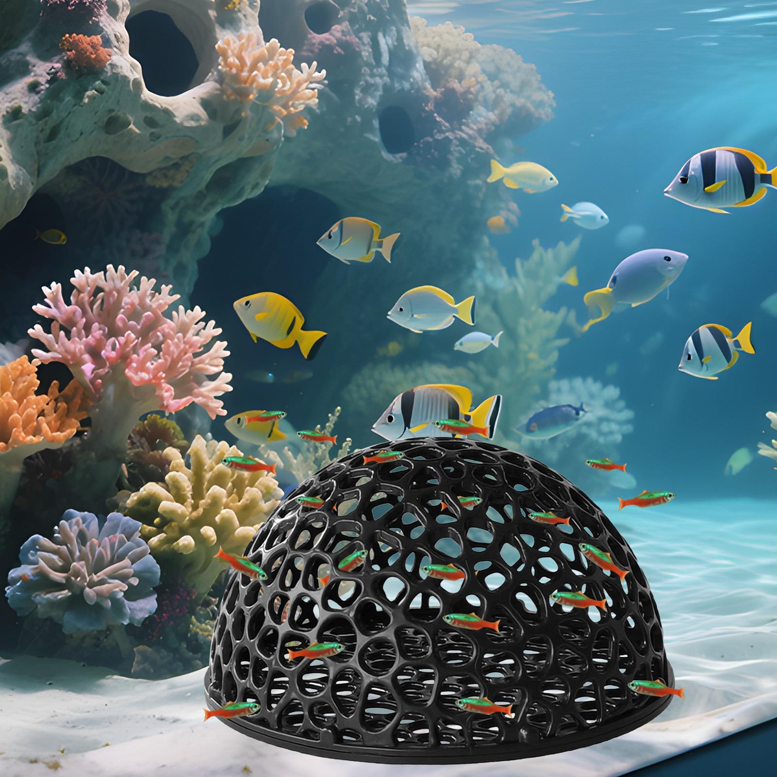 Aquarium Hiden Cave Shelter fo - Aquarium Plant Roots avis et prix