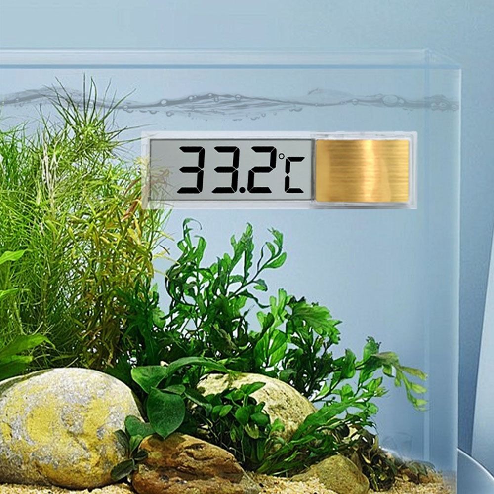 3D Digital Aquarium Thermomete - Planted Aquarium Temperature avis et prix