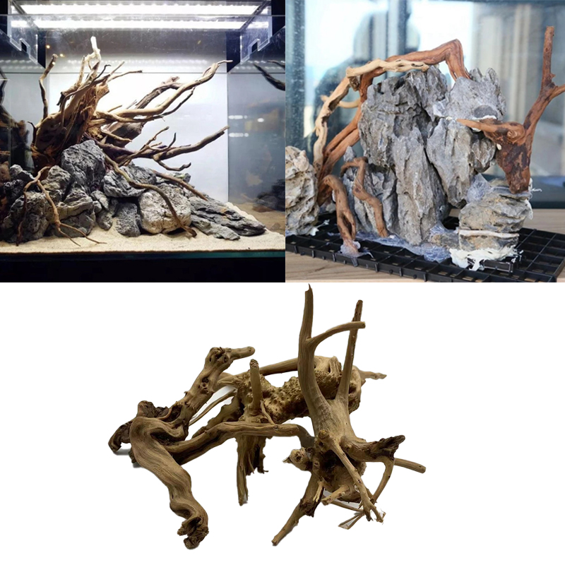 Natural Tree Trunk Driftwood A - Aquarium Plant Root Tabs avis et prix