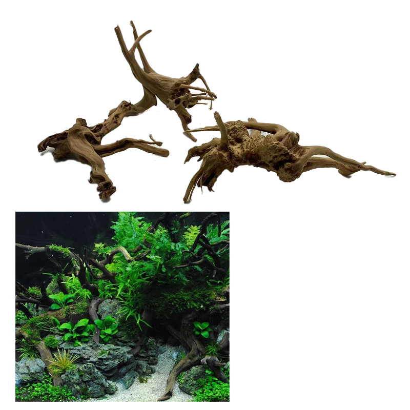Natural Tree Trunk Driftwood A - Aquarium Plant Root Tabs avis et prix