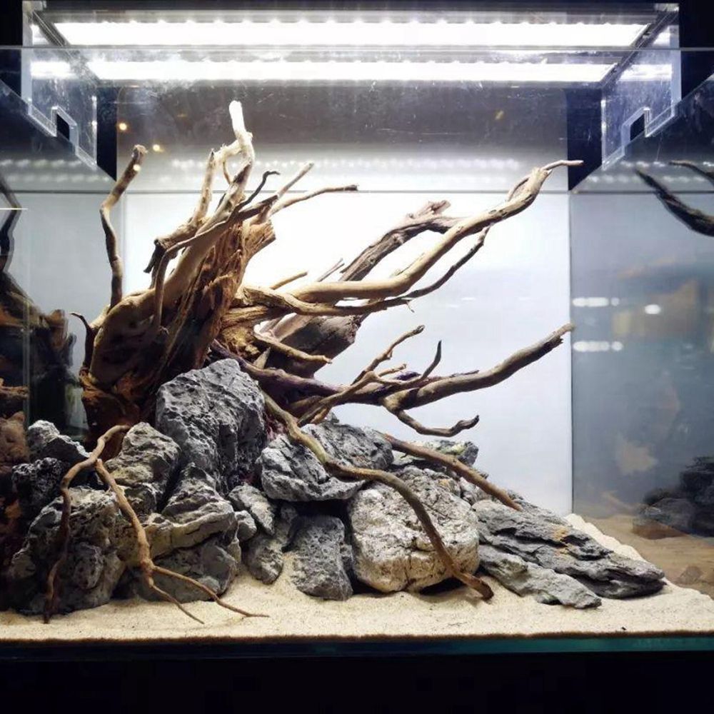 Aquarium Driftwood Natural Fis - Aquarium Plant Root Tabs avis et prix