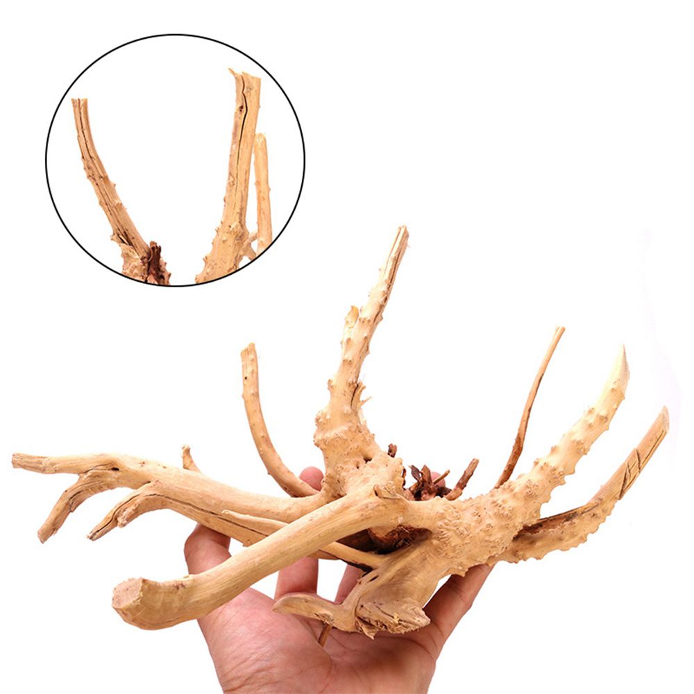 Aquarium Driftwood Natural Fis - Aquarium Plant Root Tabs avis et prix