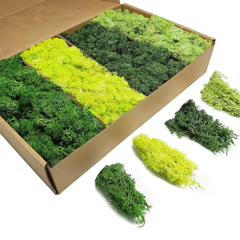 Artificial Green Plants Eterna - Aquarium Plant Root Tabs avis et prix