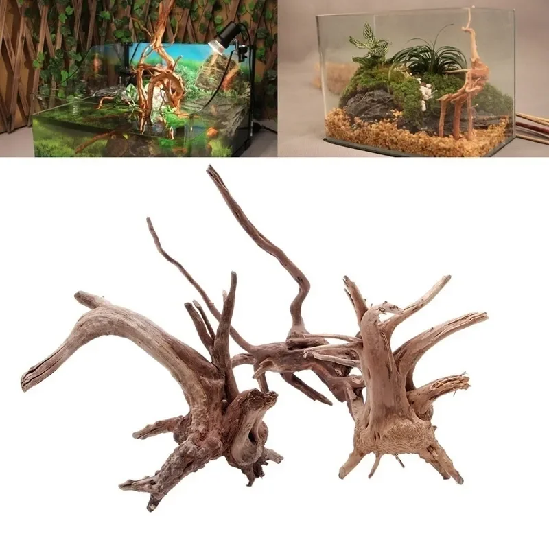 Natural Tree Trunk Driftwood A - Aquarium Plant Root Tabs avis et prix