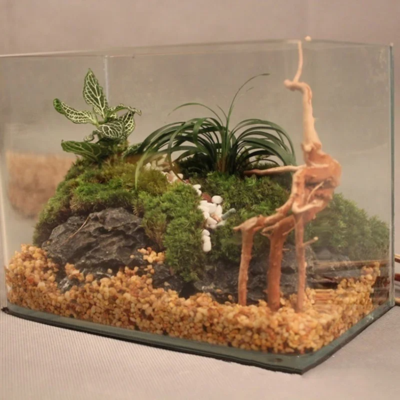 Natural Tree Trunk Driftwood A - Aquarium Plant Root Tabs avis et prix