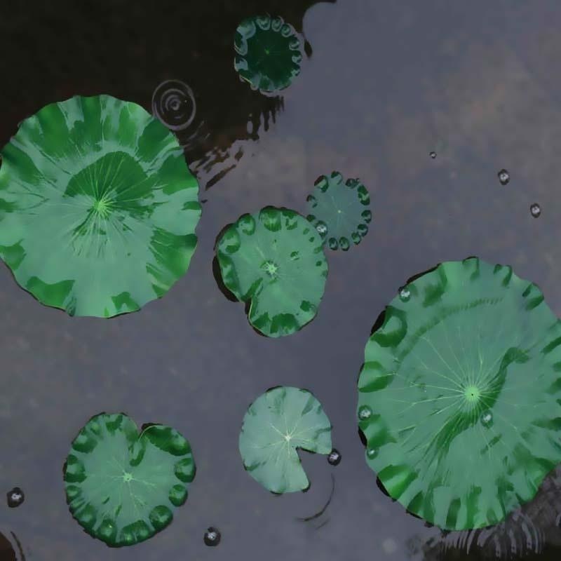2026 Artificial Water Lily Lot - Aquarium Plant Roots avis et prix