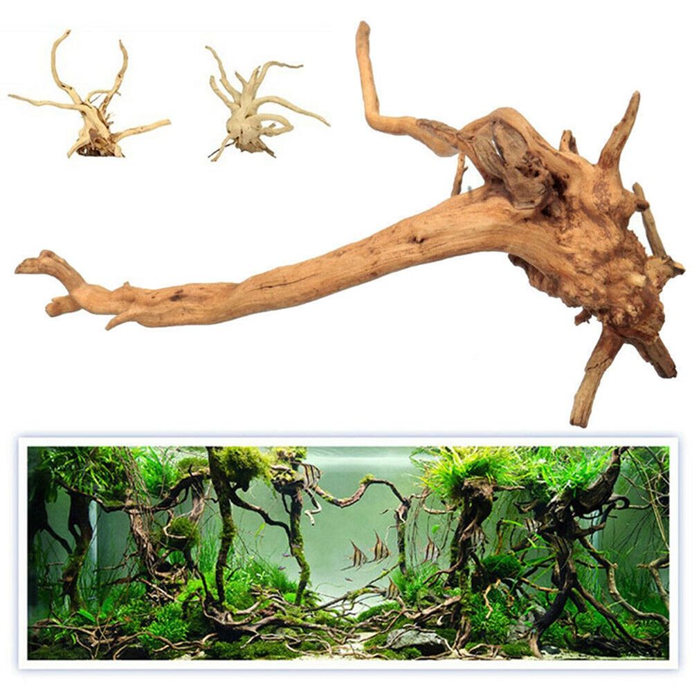 1 Pcs Wood Natural Trunk Drift - Aquarium Plant Root Tabs avis et prix