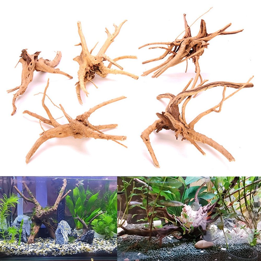 1 Pcs Wood Natural Trunk Drift - Aquarium Plant Root Tabs avis et prix