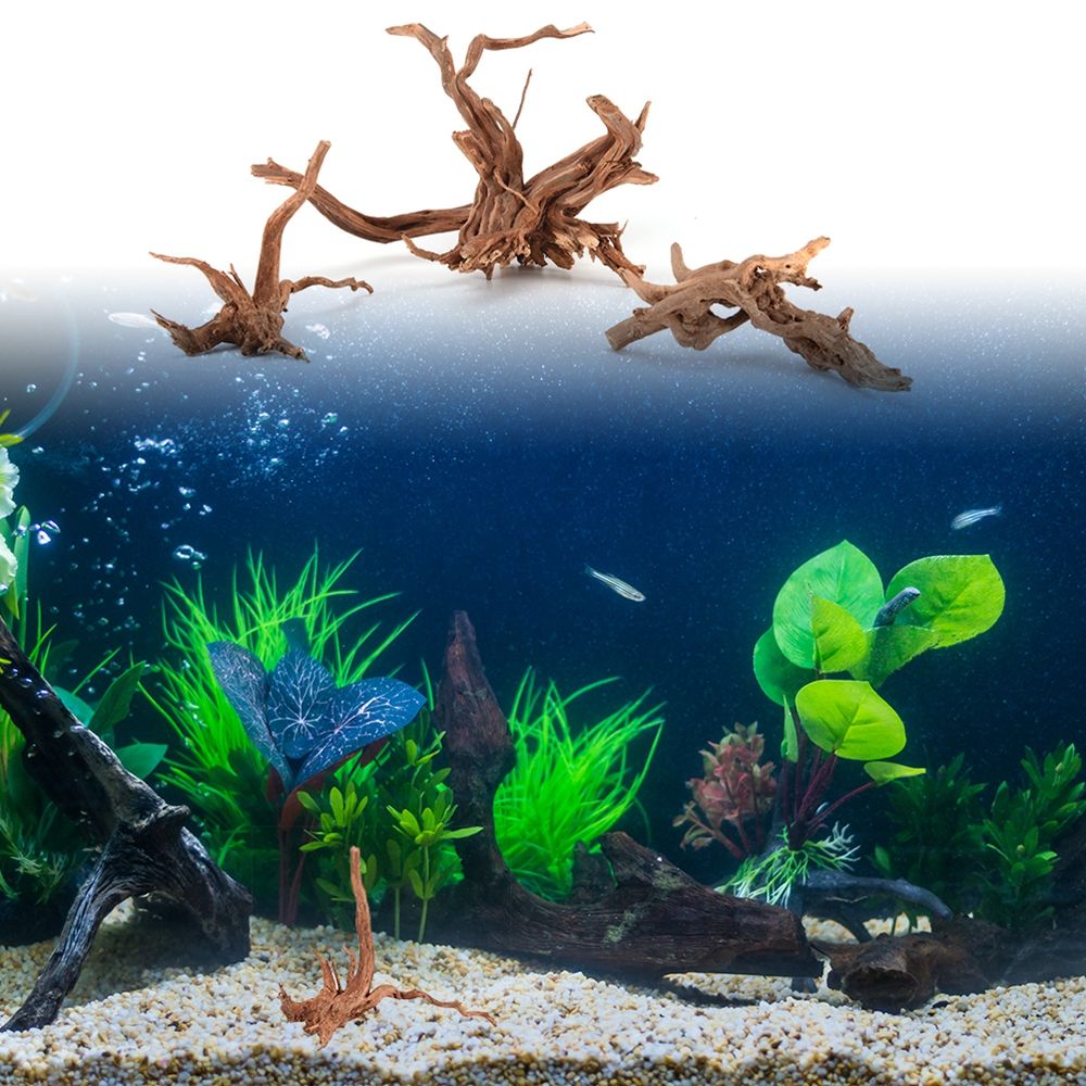 1 Pcs Wood Natural Trunk Drift - Aquarium Plant Root Tabs avis et prix