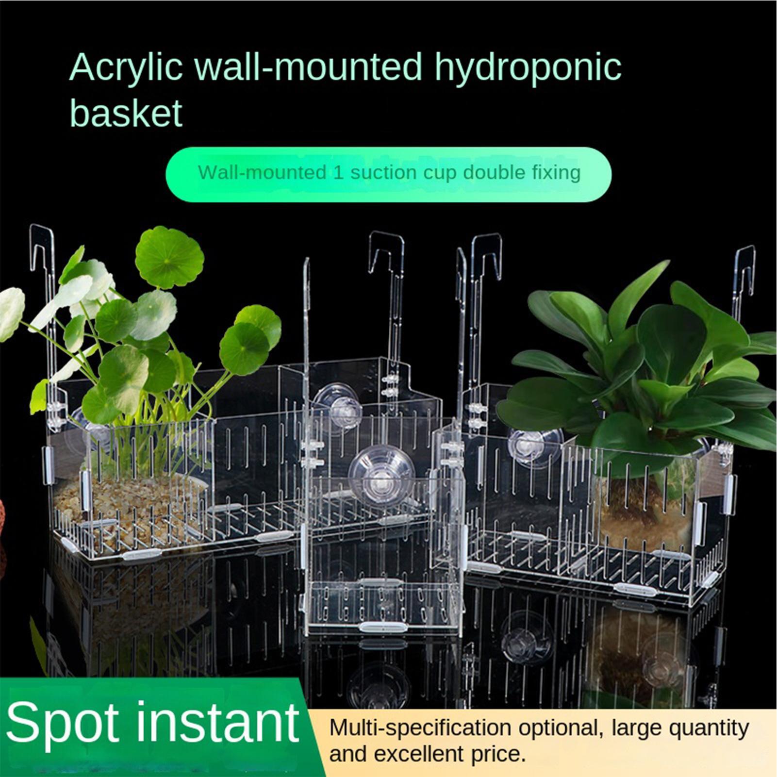 Acrylic Aquarium Plant Holder  - Aquarium Plant Vine avis et prix