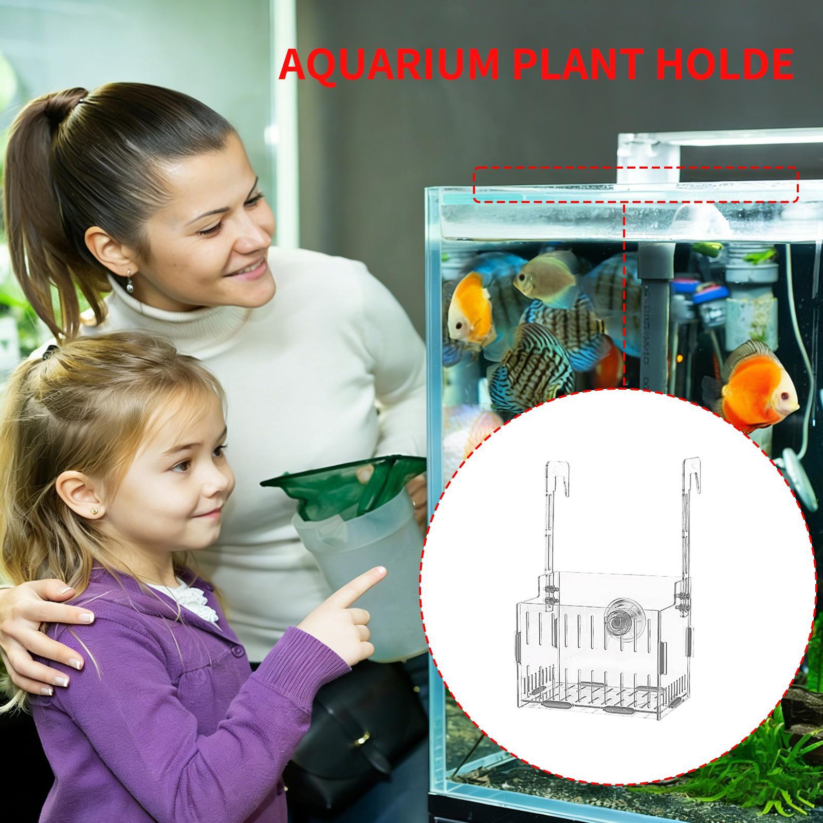Acrylic Aquarium Plant Holder  - Aquarium Plant Vine avis et prix