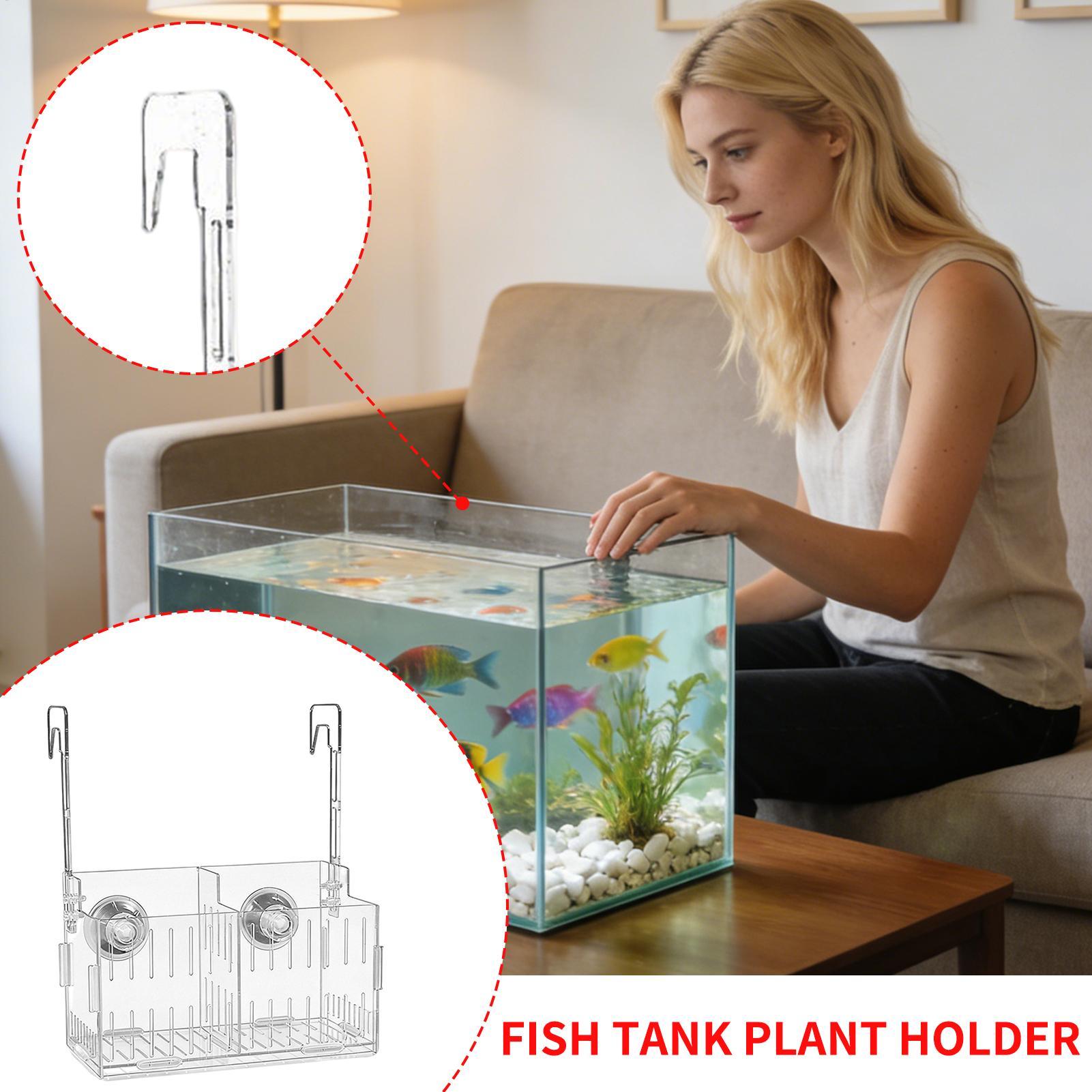 Acrylic Aquarium Plant Holder  - Aquarium Plant Vine avis et prix