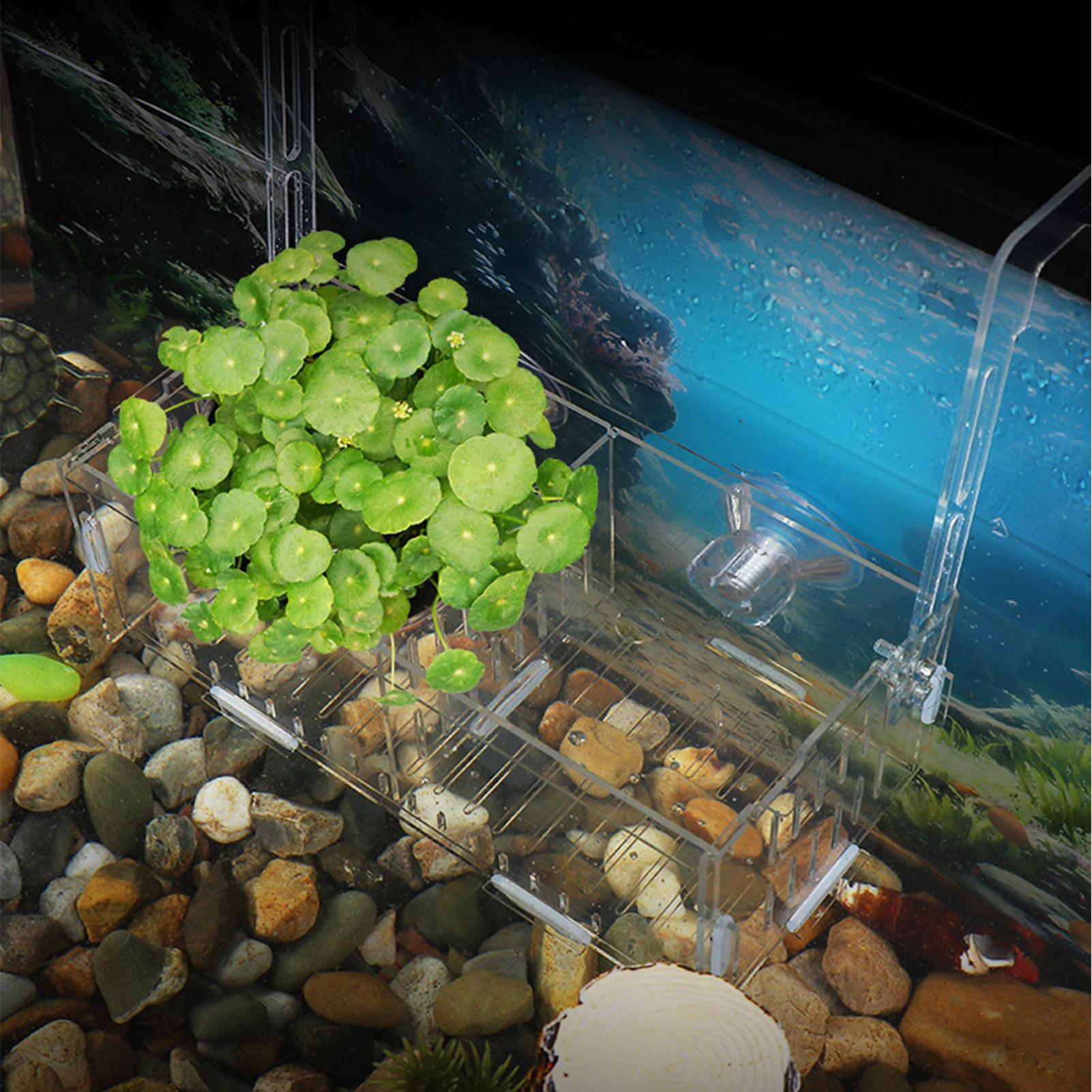 Acrylic Aquarium Plant Holder  - Aquarium Plant Vine avis et prix
