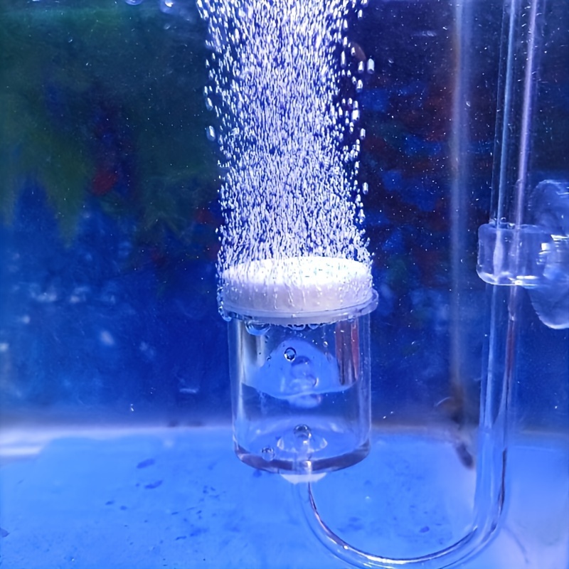 Aquarium Glass CO2 Atomizer Di - Planted Aquarium Supplies avis et prix