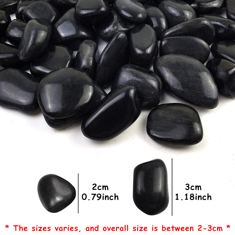 200g Black High Polished Natur - Aquarium Planting Ideas avis et prix